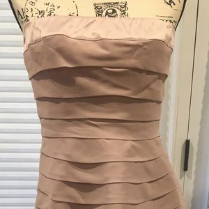 The Limited Soft Blush Rose A-line dress NWT